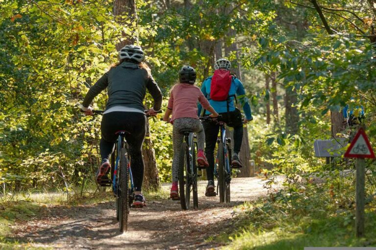 connection between quality of life and physical activity image, picture of family biking through the woods on a sunny day, massage therapy nelson